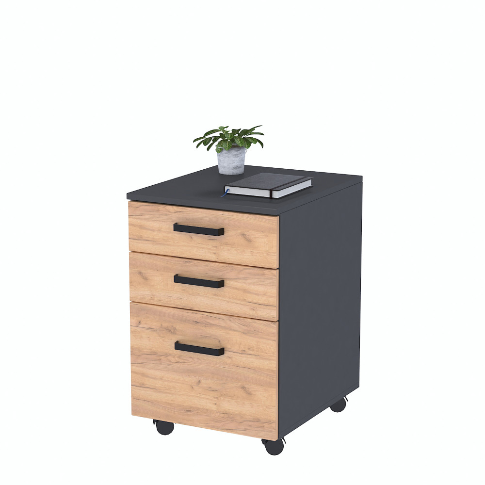 Тумба мобільна NT-3S-42-65 Loft Design